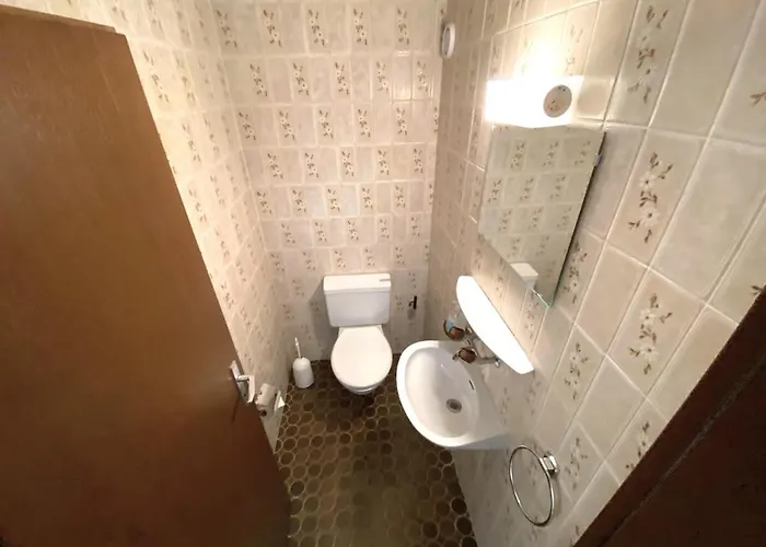 Laerchenwald 1803 * 洛伊克巴德